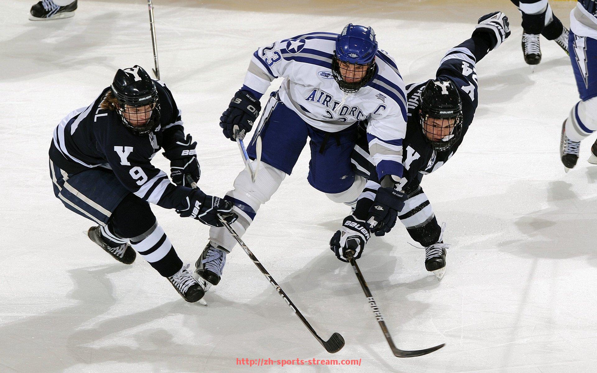 体育直播-欧冠官方直播平台及比赛高清画质体验推荐