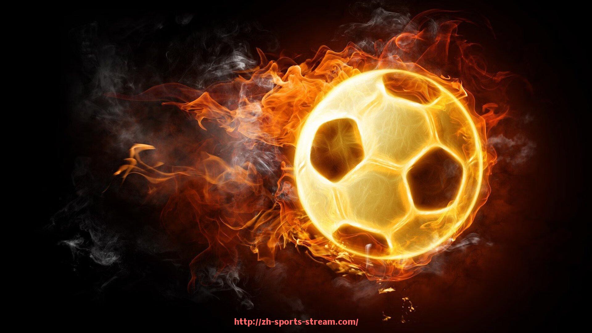 体育直播-休斯顿火箭队地理位置与球馆介绍