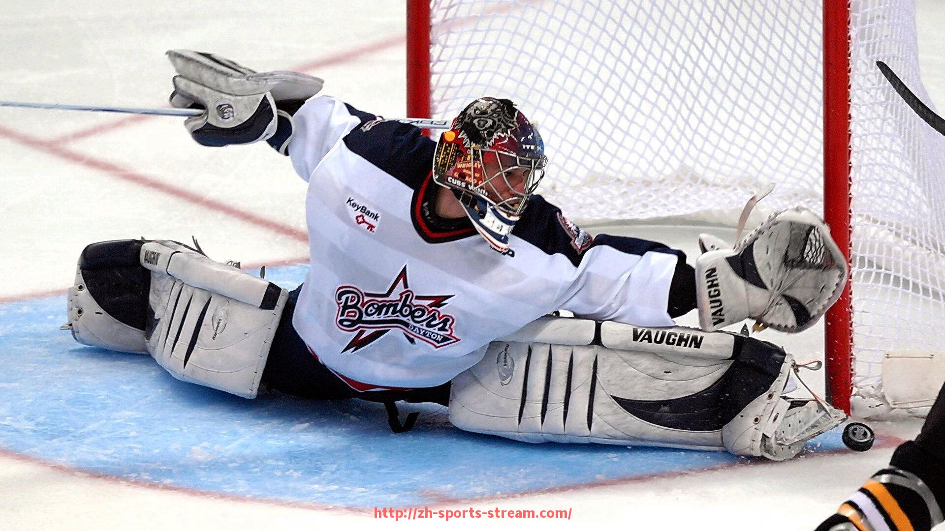 体育直播-健身器材天梯的正确使用方法及对体育锻炼的辅助作用